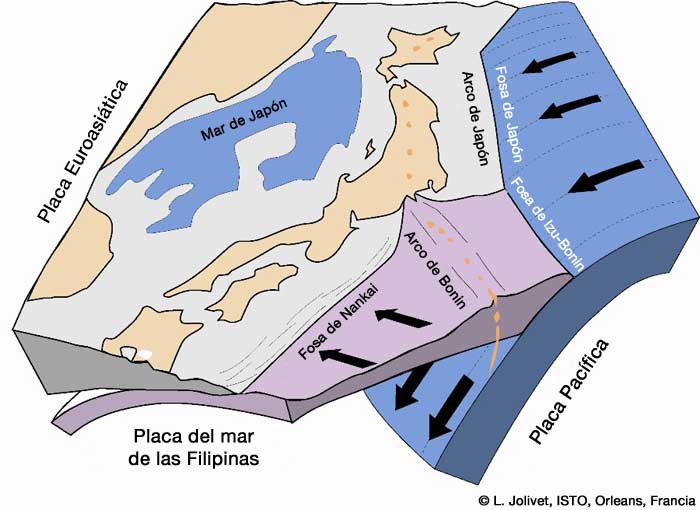 Imagen ampliada