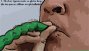 Ver animacin: El experimento del globo-nevera