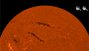 Ver animacin: El Sol en H-alpha el 31 de julio de 2010