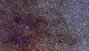 Ver imagen: Cartel para la bsqueda de vida extraterrestre