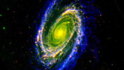 M81