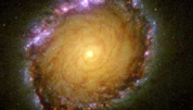 El anillo nuclear de NGC1512