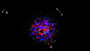 El sistema planetario HR 8799