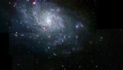 M33