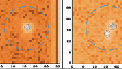 Imgenes de la cmara de adquisicin del Telescopio Espacial Hubble (HST)