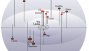 Ver imagen: Distribucin espacial de las principales galaxias satlites de la Va Lctea