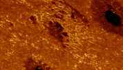 Regiones activas con manchas solares y fculas cerca del limbo solar