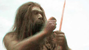Reconstruccin plausible del Homo neanderthalensis