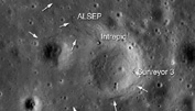 Ejemplo de imgenes de Moon Zoo