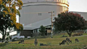 Canguros en un observatorio australiano