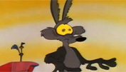 El Coyote cayndose